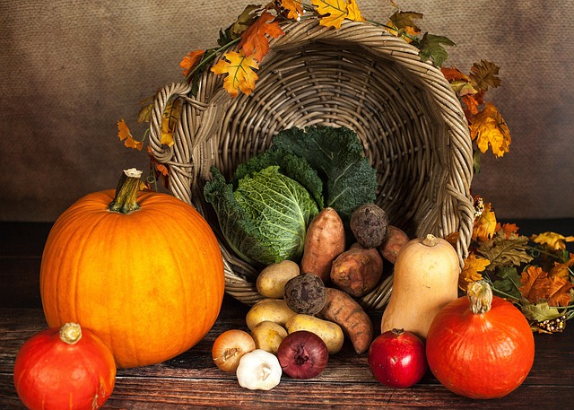 nutrition-640x480-61069239.jpeg