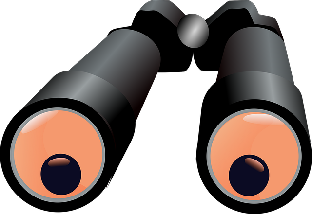 observation