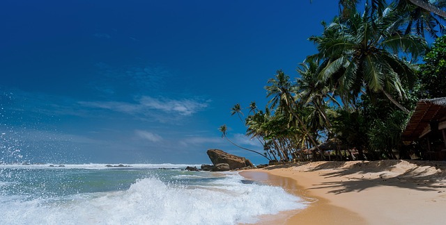 ocean