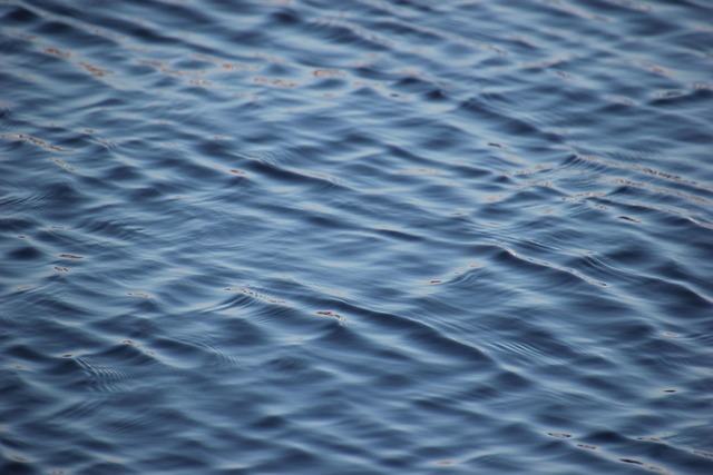 ocean