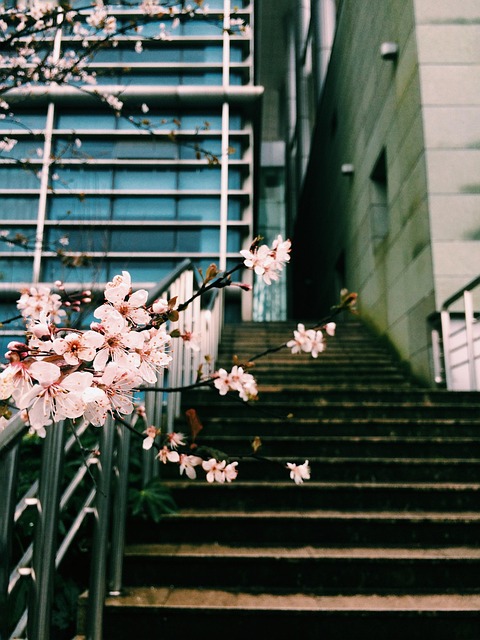 off campus