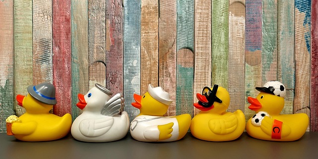 Oregon Ducks