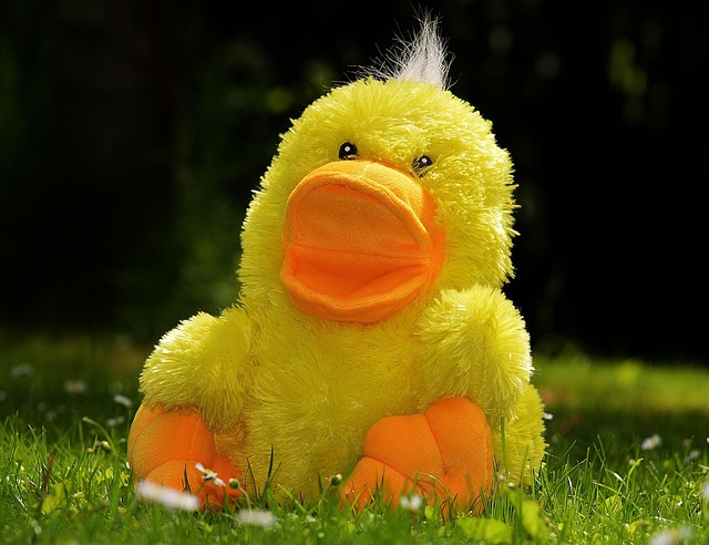 Oregon Ducks