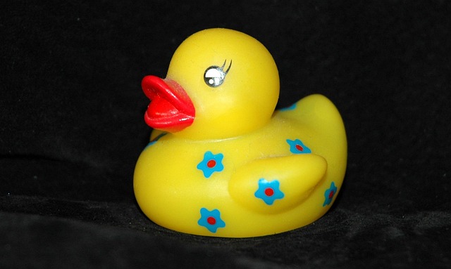 Oregon Ducks