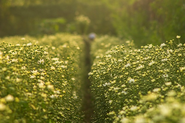 outdoors-640x480-41153825.jpeg