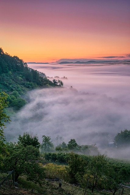 outdoors-640x480-99908843.jpeg
