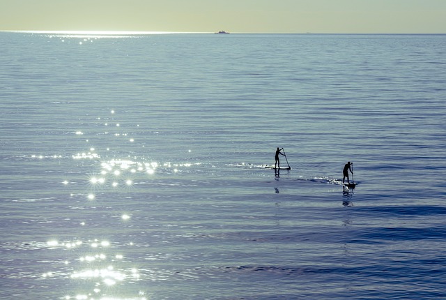 paddleboard