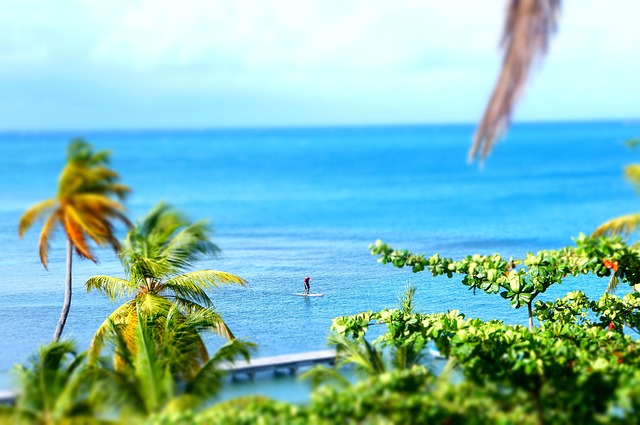 paddleboard