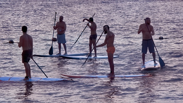 paddleboard