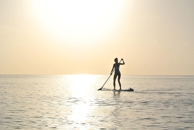 paddleboard