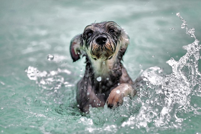 paddling
