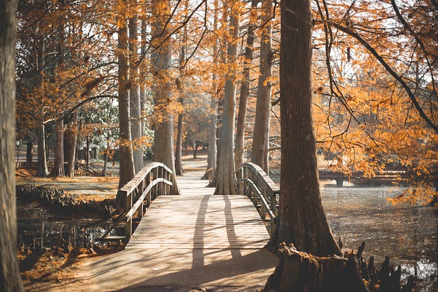 parks