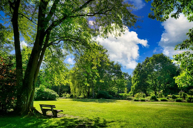 parks