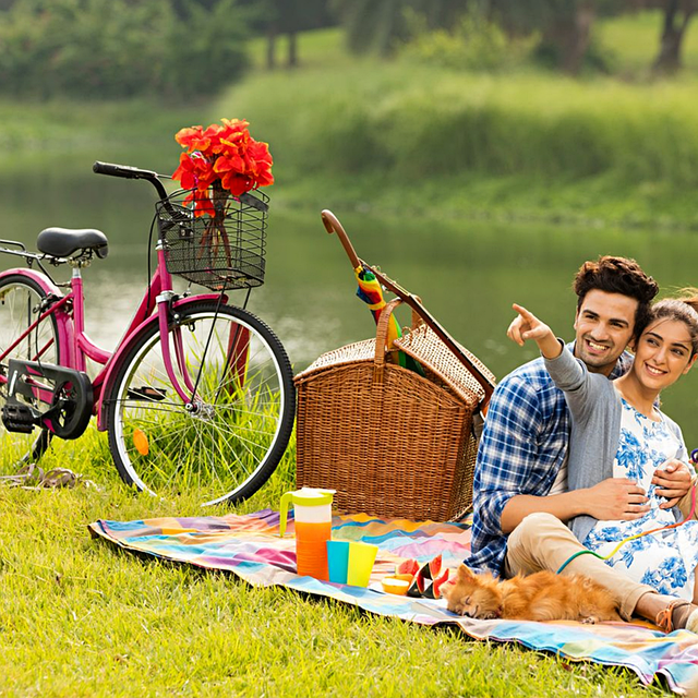 picnic