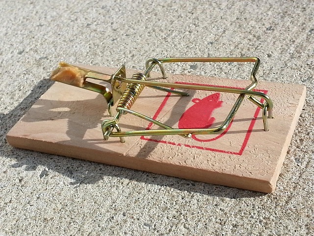 pitfalls-640x480-61555527.jpeg