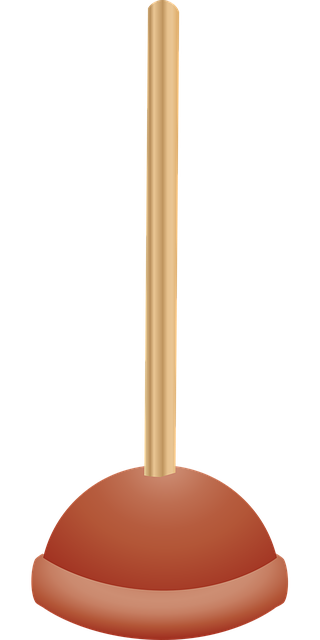 plunger