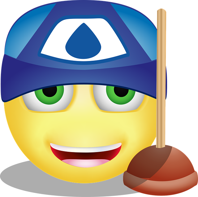 plunger