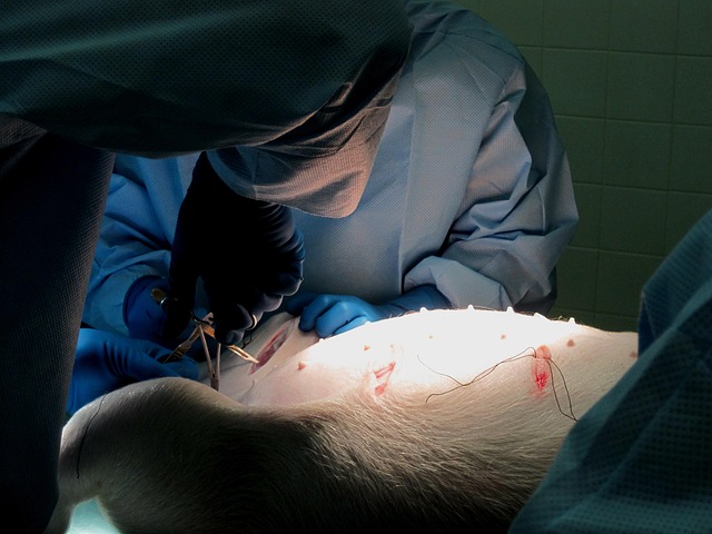 procedures