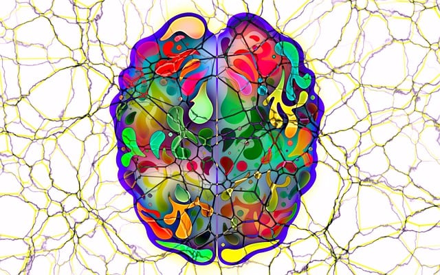 process-640x480-22923144.jpeg