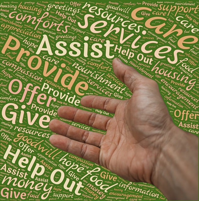 providers