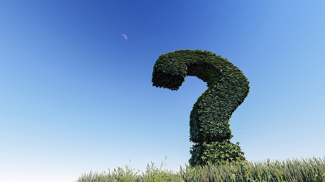 questions