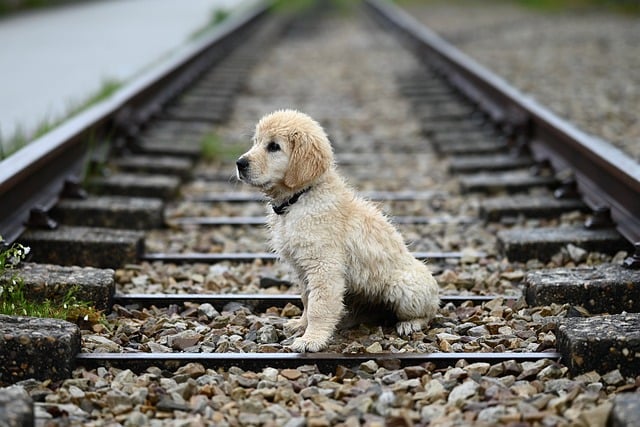 railroad