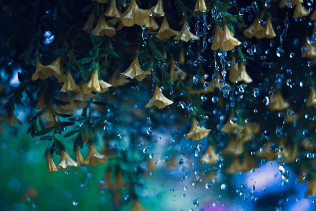 rain-640x480-58663507.jpeg