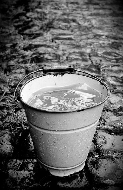 rainwater
