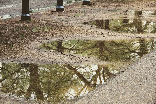 rainwater