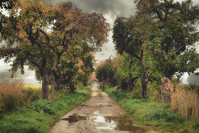 rainwater-640x480-65286944.jpeg