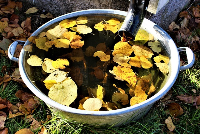 rainwater-640x480-94669931.jpeg