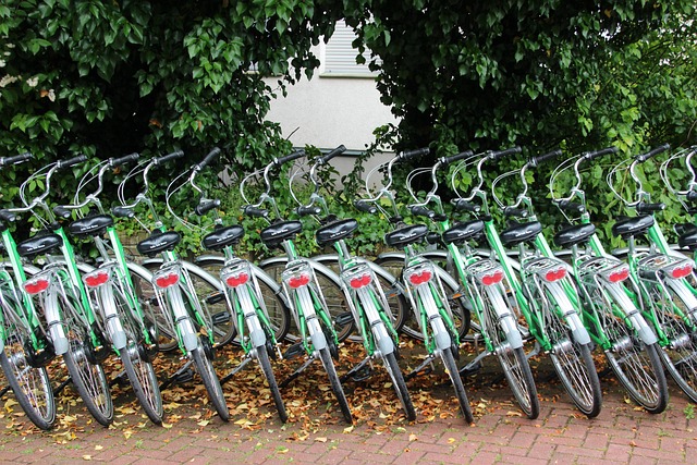 rental