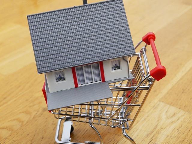 rental