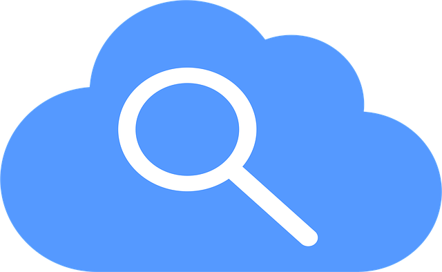 rental search