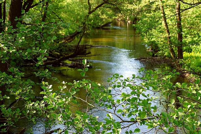 river