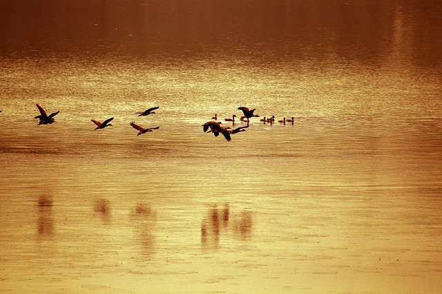 river