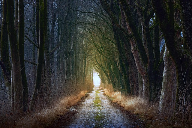 roads