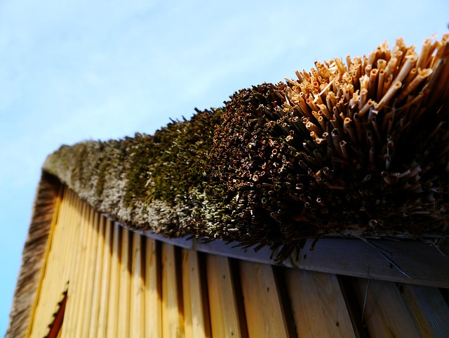 roof