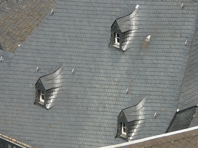roof