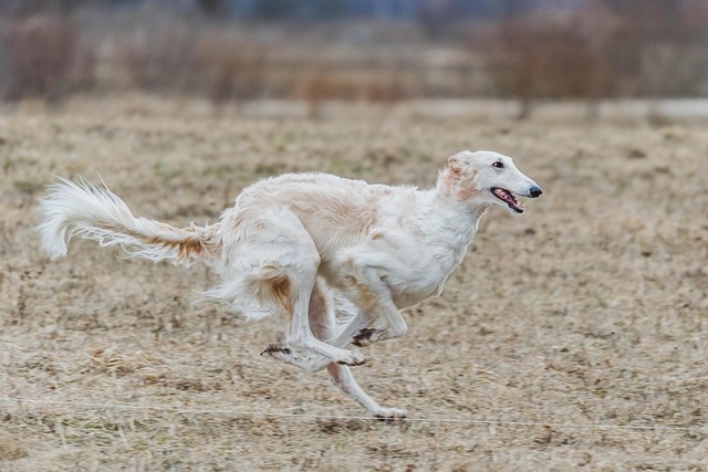 running