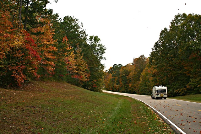 Master Family-Friendly Campground Reservations and Booking