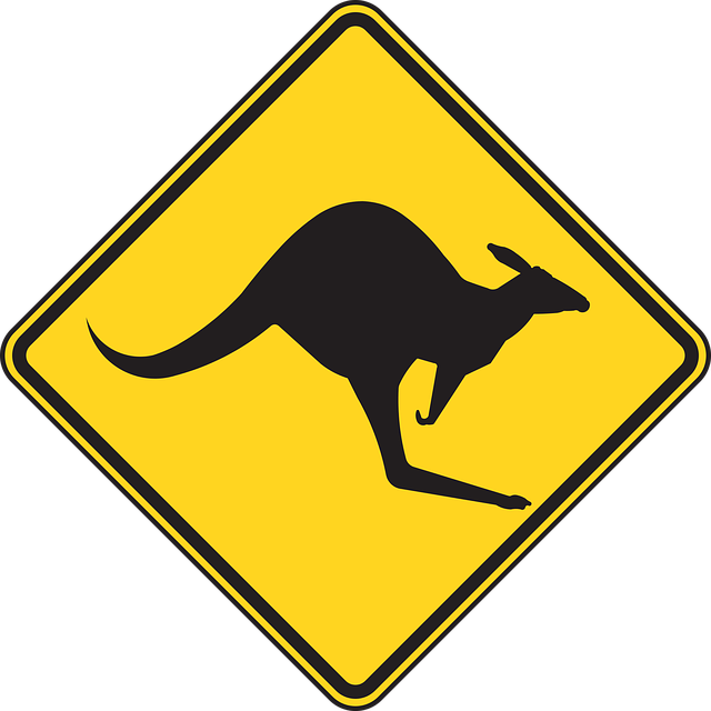 safety