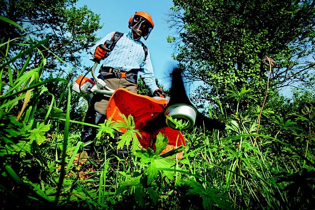 safety-640x480-81906948.jpeg
