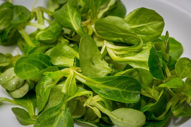 salad-640x480-18153610.jpeg