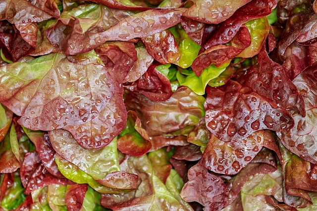 salad