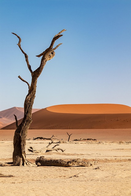 sand-640x480-75910477.jpeg