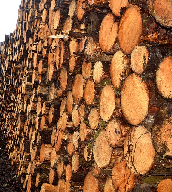 sawmills