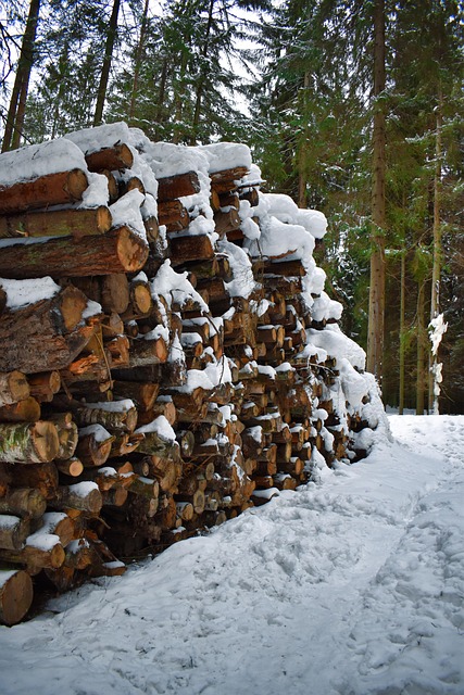 sawmills-640x480-76804011.jpeg