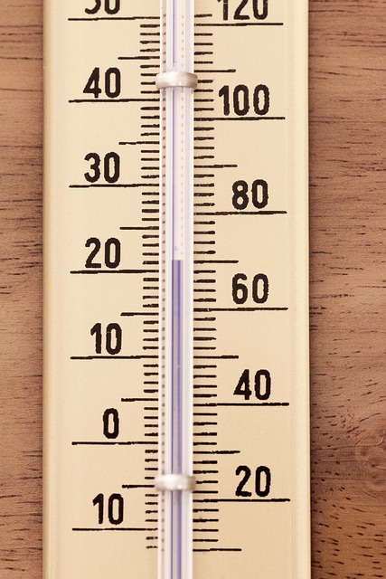 scale-640x480-7902553.jpeg