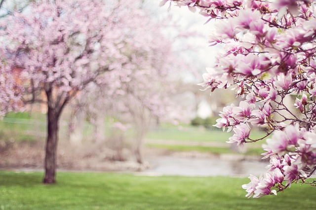 scenic-640x480-38243003.jpeg